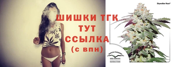 spice Новозыбков