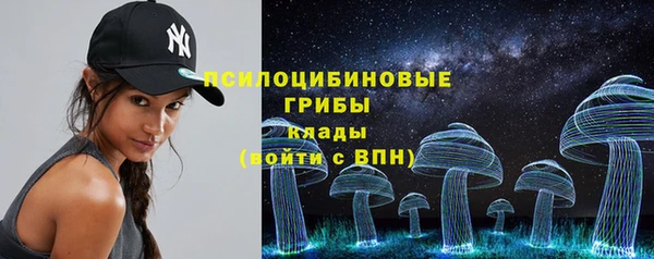 spice Новозыбков