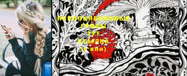 spice Новозыбков
