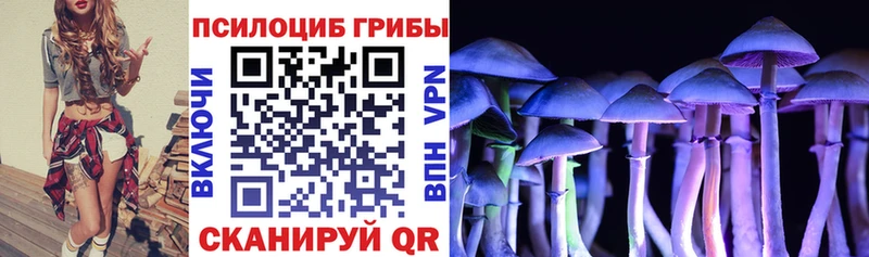 Галлюциногенные грибы мицелий  Котельники 