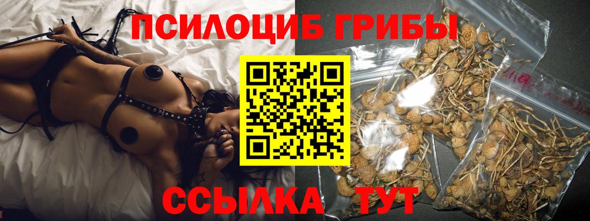 Псилоцибиновые грибы мицелий  Псилоцибиновые грибы Psilocybine cubensis  Вход с VPN  Котельники 
