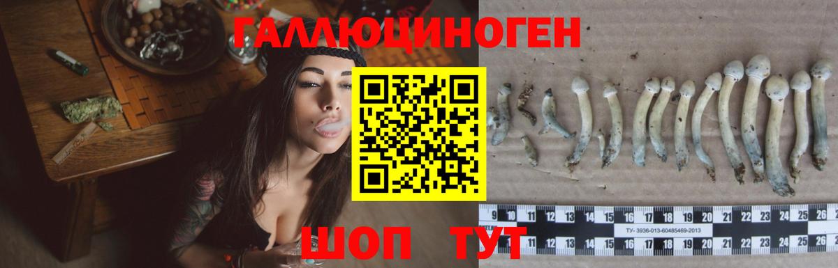 Каннабис  COCAIN  Котельники  ТГК  АМФЕТАМИН кристаллы  Вход с VPN  Alpha PVP СОЛЬ   Меф МЯУ МЯУ кристаллы 