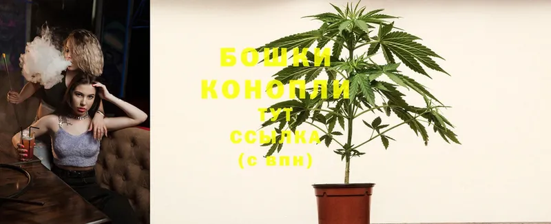 shop состав  Котельники  МАРИХУАНА конопля 